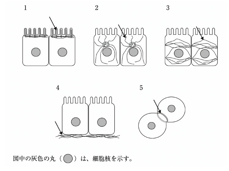 解説画像
